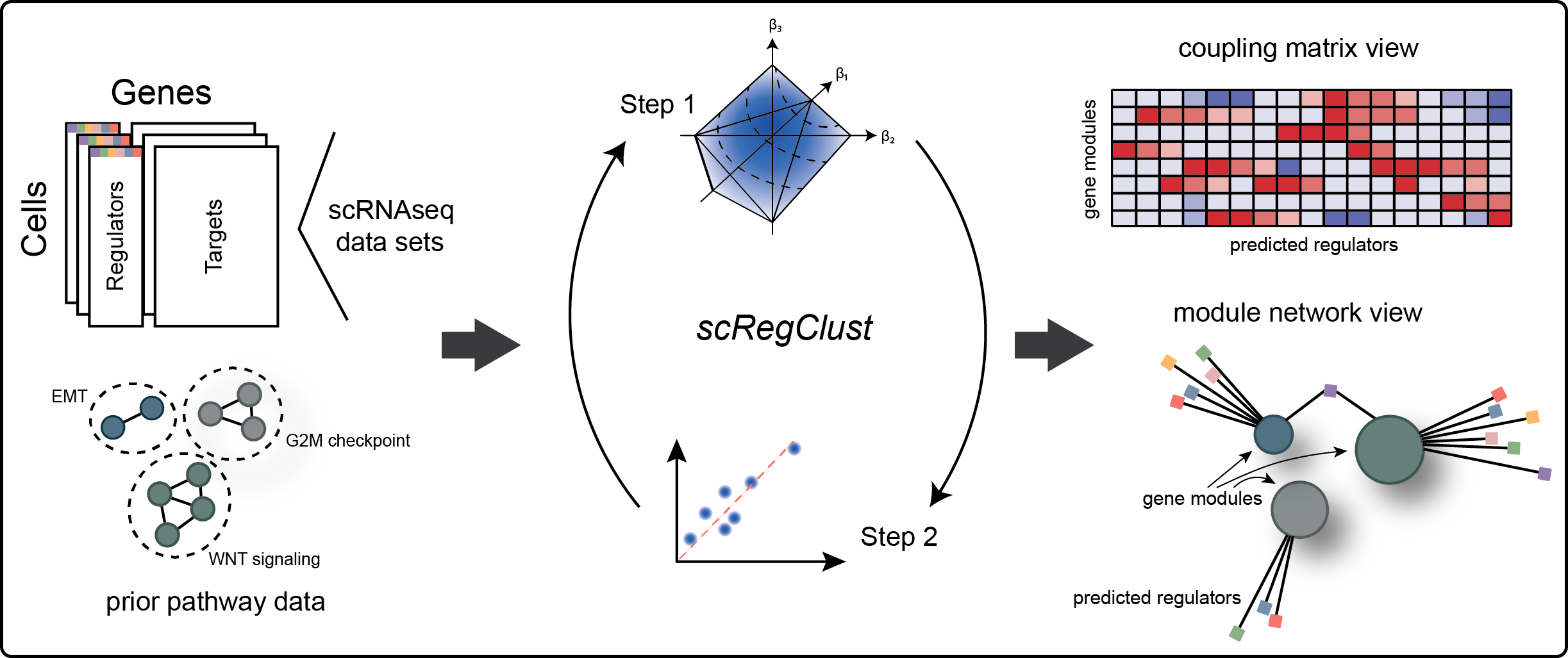 A schematic overview of the steps involved in the scregclust algorithm.